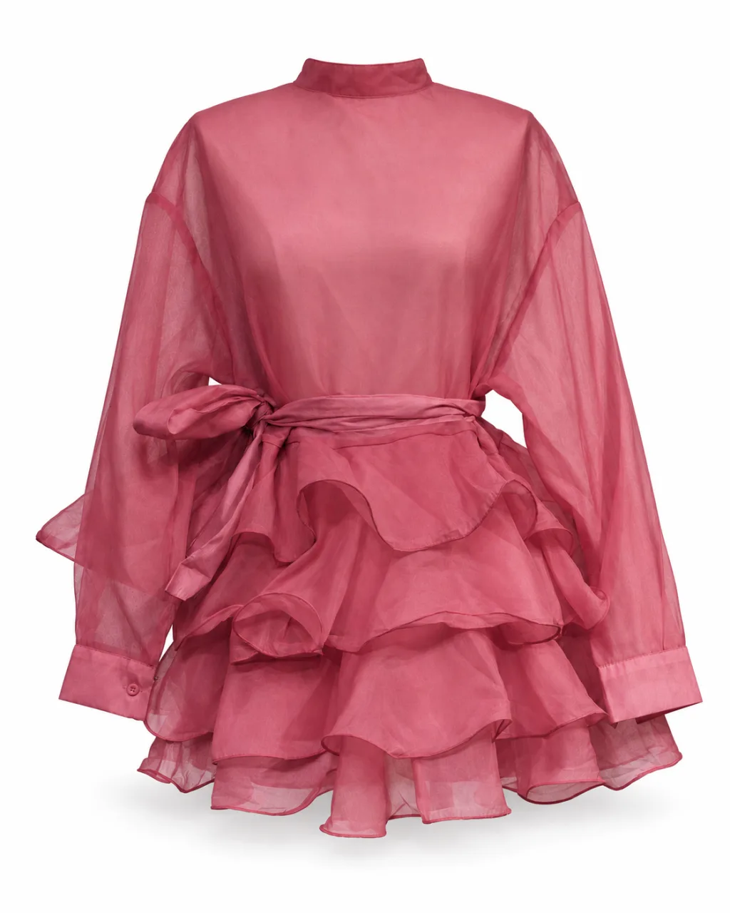 Sheer Organza Ruffle Top