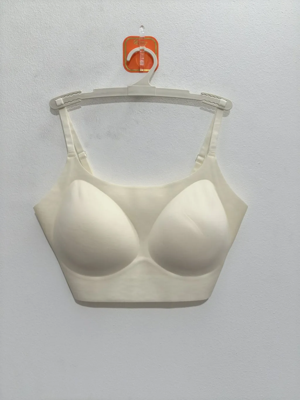 Women's Bra - Style 8801