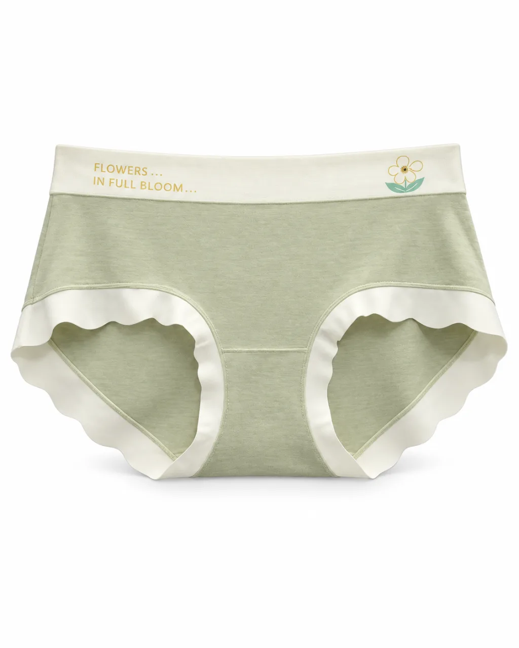 Women's Panty - Style 9578