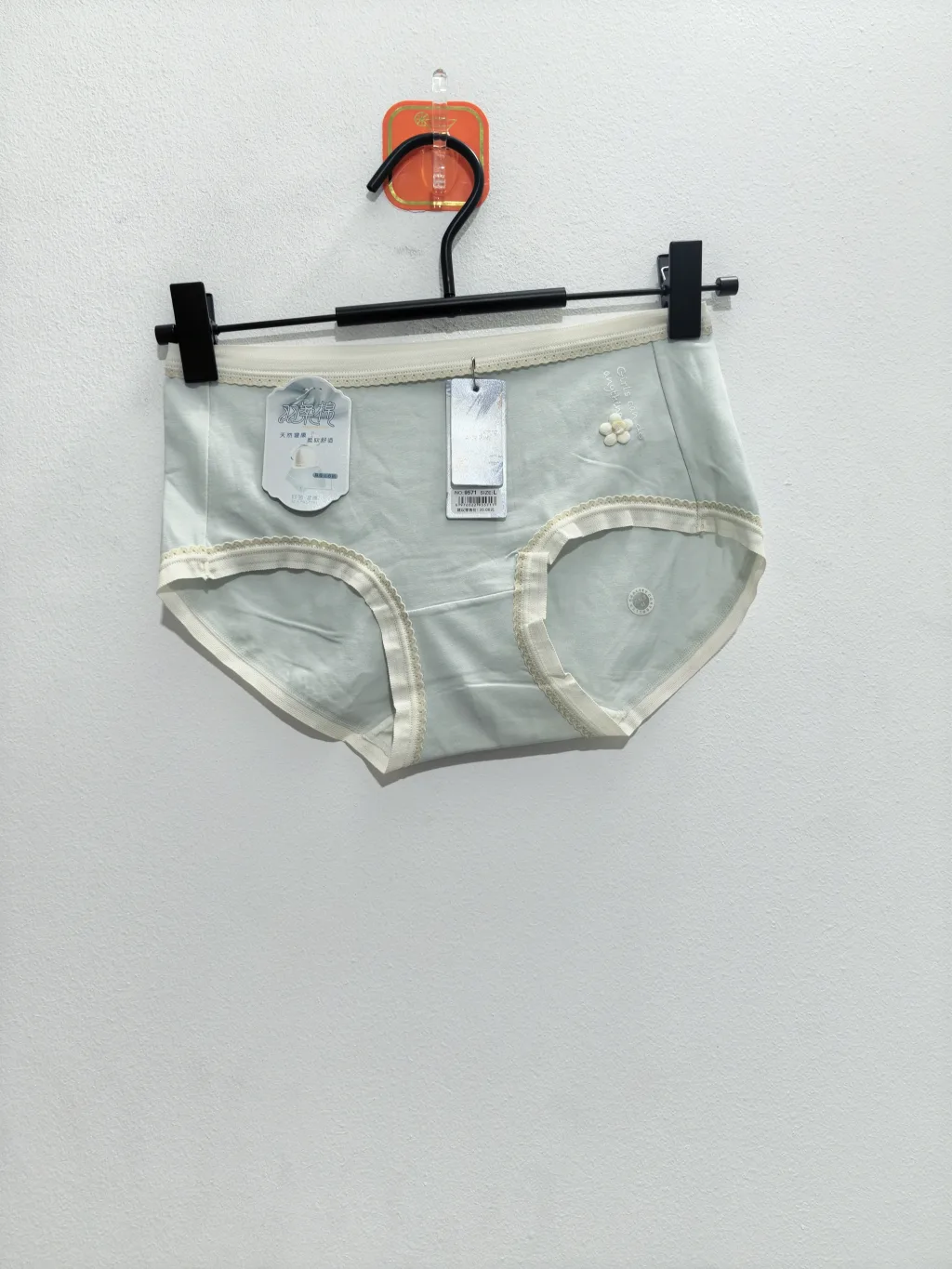 Women's Panty - Style 9571