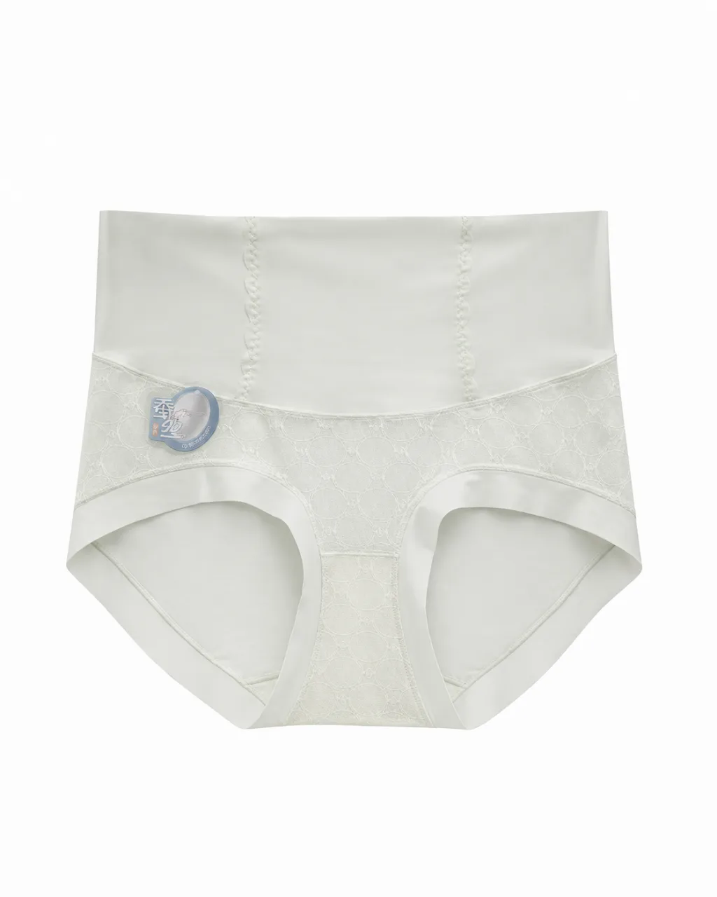 Women's Mesh-Panel High-Waist Briefs - Style 1001