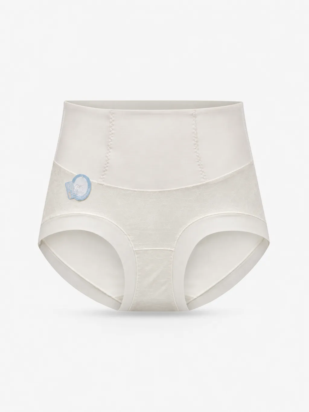 Women's Mesh-Panel High-Waist Briefs - Style 1001