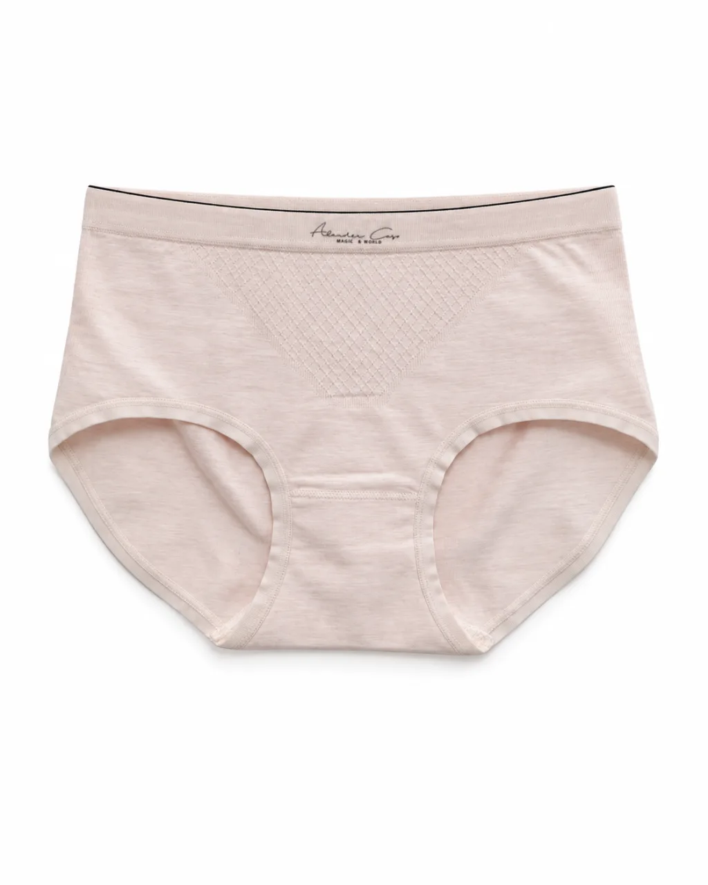 Women's 32-Gauge Zoned-Knit High-Waist Briefs - Style 6306