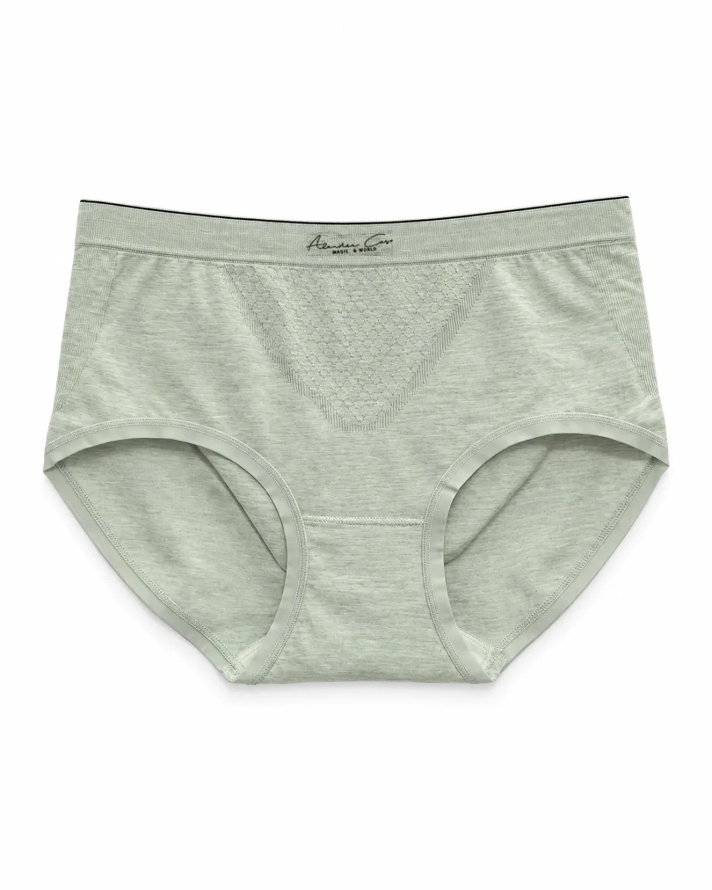 Women's 32-Gauge Zoned-Knit High-Waist Briefs - Style 6306