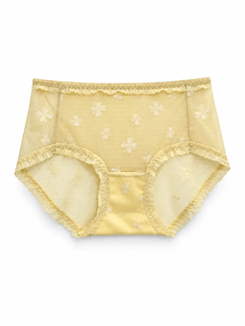 Women's Floral Mesh Mid-Rise Briefs - Style 9502