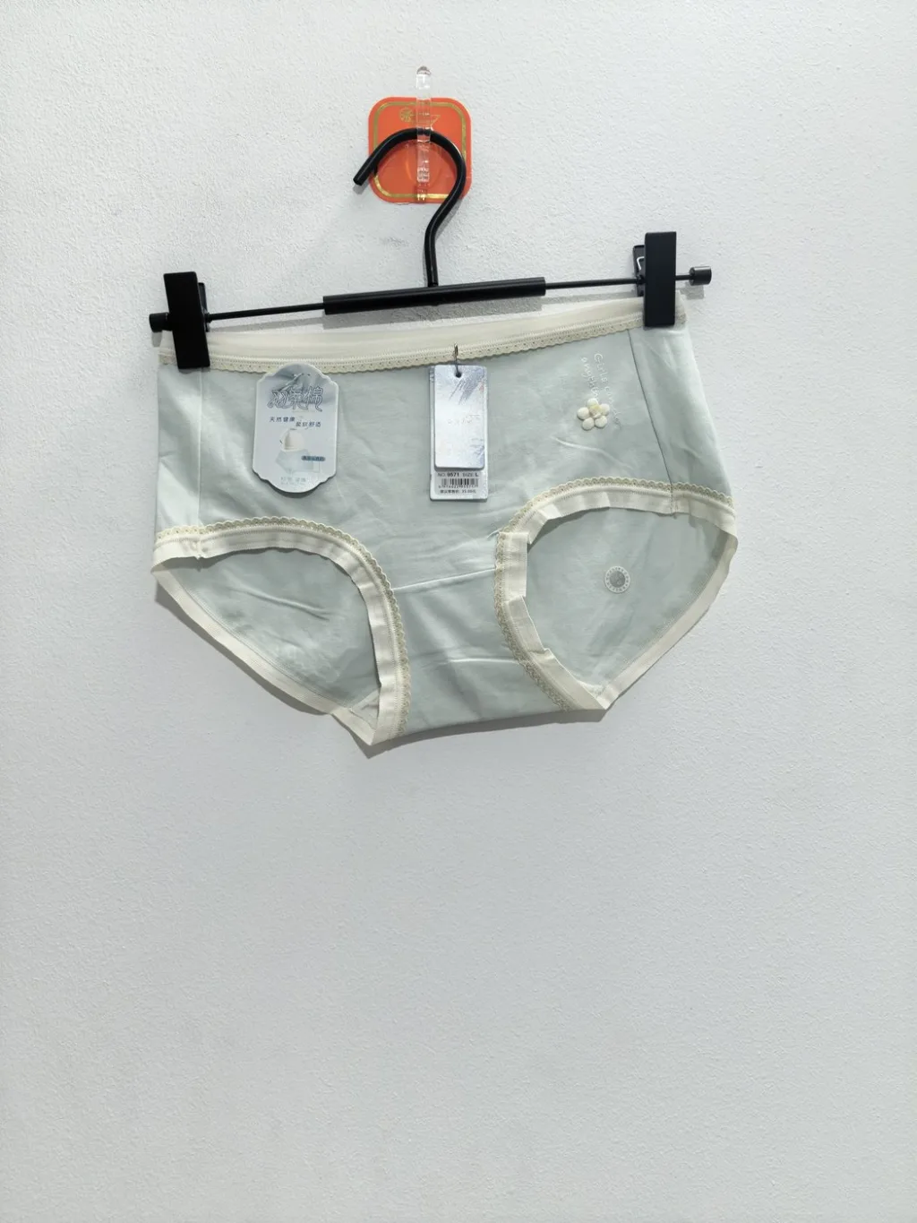 Women's Panty - Style 9571