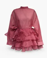 Sheer Organza Ruffle Dress - image 2