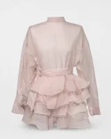 Sheer Organza Ruffle Dress - image 1