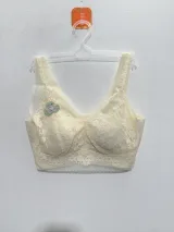Women's Light Luxury Lace Bralette - Style 6027 - image 16