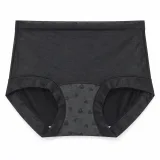 Camellia High-Waist Panty - Style 1212 - ছবি 1