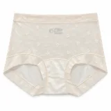 Camellia High-Waist Panty - Style 1212 - ছবি 2