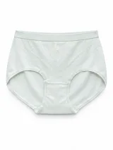 Women's 7A Antibacterial High-Waist Panty - Style 8801BRIEF - image 6