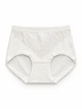 Women's 7A Antibacterial High-Waist Panty - Style 8801BRIEF - image 8