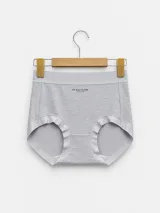 Women's Textured Comfort High-Waist Briefs - Style 507 - image 3
