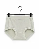 Women's Textured Comfort High-Waist Briefs - Style 507 - image 4