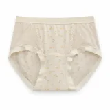 Women's Floral Mesh-Panel High-Waist Briefs - Style 6156 - image 5