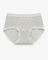 Women's Floral Mesh-Panel High-Waist Briefs - Style 6156 - image 1