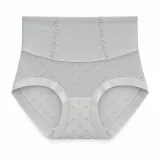 Women's Mesh-Panel High-Waist Briefs - Style 1001 - ছবি 2