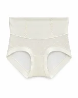 Women's Mesh-Panel High-Waist Briefs - Style 1001 - ছবি 5