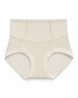 Women's Mesh-Panel High-Waist Briefs - Style 1001 - ছবি 3