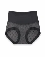Women's Mesh-Panel High-Waist Briefs - Style 1001 - image 1