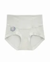 Women's Mesh-Panel High-Waist Briefs - Style 1001 - image 4