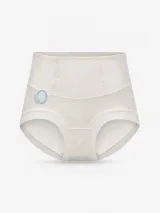 Women's Mesh-Panel High-Waist Briefs - Style 1001 - image 3