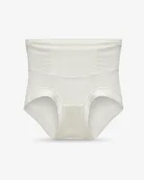 Women's Mesh-Panel High-Waist Briefs - Style 1001 - image 5
