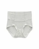 Women's Mesh-Panel High-Waist Briefs - Style 1001 - image 2