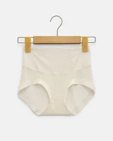 Women's Mesh-Panel High-Waist Briefs - Style 1001 - image 3