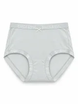 Women's Smooth High-Waist Briefs with Logo Trim - Style 33016 - ছবি 1