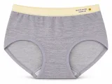 Women's 32-Gauge Melange Mid-Rise Briefs with Contrast Waist - Style 2092 - ছবি 4