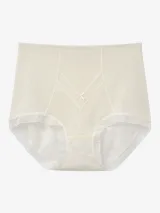 Women's High-Waist Sheer-Mesh Shaping Briefs with V-Panel - Style 1036 - image 4