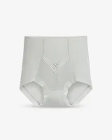 Women's High-Waist Sheer-Mesh Shaping Briefs with V-Panel - Style 1036 - image 2