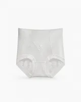 Women's High-Waist Sheer-Mesh Shaping Briefs with V-Panel - Style 1036 - image 5