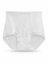 Women's High-Waist Sheer-Mesh Shaping Briefs with V-Panel - Style 1036 - ছবি 5