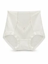 Women's High-Waist Sheer-Mesh Shaping Briefs with V-Panel - Style 1036 - ছবি 3