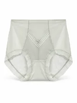 Women's High-Waist Sheer-Mesh Shaping Briefs with V-Panel - Style 1036 - ছবি 2