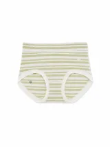 Women's Sheer-Stripe High-Waist Briefs - Style 9345 - image 1