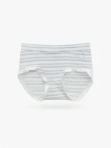 Women's Sheer-Stripe High-Waist Briefs - Style 9345 - image 2