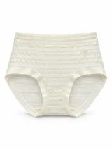 Women's Sheer-Stripe High-Waist Briefs - Style 9345 - image 3
