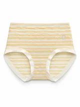 Women's Sheer-Stripe High-Waist Briefs - Style 9345 - image 5