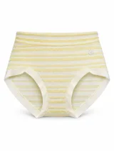Women's Sheer-Stripe High-Waist Briefs - Style 9345 - image 4