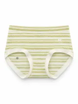 Women's Sheer-Stripe High-Waist Briefs - Style 9345 - image 1