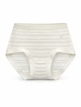 Women's Sheer-Stripe High-Waist Briefs - Style 9345 - image 6