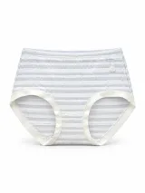 Women's Sheer-Stripe High-Waist Briefs - Style 9345 - image 2