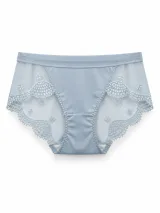 Women's Lace-Panel Mid-Rise Briefs - Style 8271 - image 3