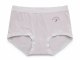 Women's 7A High-Waist Briefs - Style 7A - ছবি 7