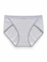 Women's Diagonal-Panel Comfort Briefs - Style 9434 - ছবি 1
