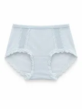 Women's Lace-Trim Comfort Briefs - Style 2133 - ছবি 5